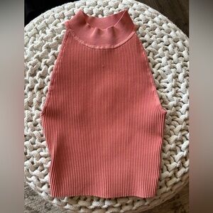 Babaton high neck top from Aritzia